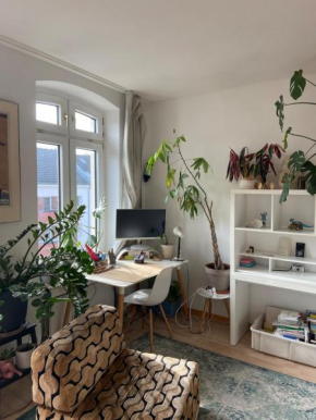 Bright old building whole Apartment Cologne